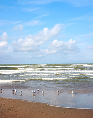 Coast of the Black Sea near Anapa during a storm in spring 