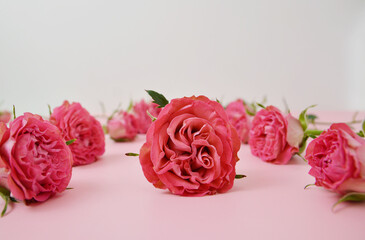 Composition of spray roses lying on light pink table top