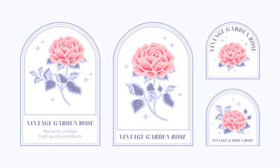 Set of vintage feminine beauty pink rose floral logo elements and label vector illustration templates with leaf branch and frame