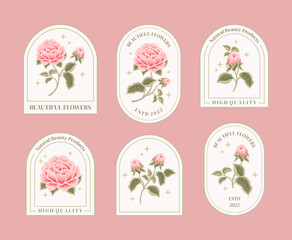 Set of vintage feminine beauty pink rose floral logo elements and label vector illustration templates with leaf branch and frame