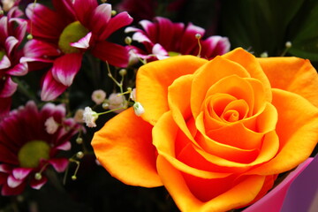 orange rose with pink chrysanthemums in a bouquet close-up