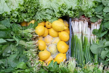 Food background with assortment of fresh organic vegetables