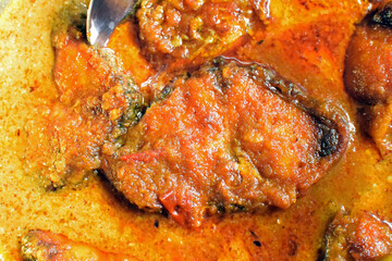Rohu fish (labeo rohita) kalia - a spicy delicious Indian Bengali's favourite fish dish. It is widely available in south east Asian countries including eastern India, Bangladesh, Nepal.