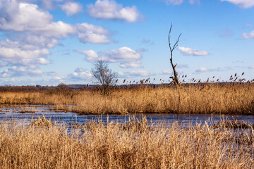 Przedwiośnie w Narwiańskim Parku Narodowym, Podlasie, Polska © podlaski49