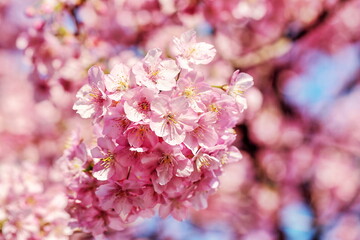 Obraz premium It’s getting warmer