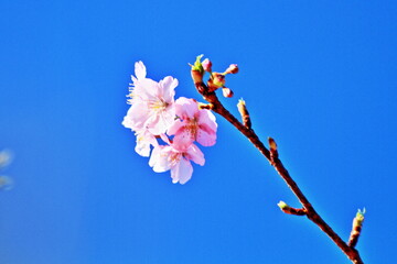 It’s getting warmer