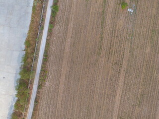 Aerial view of summer field grassland