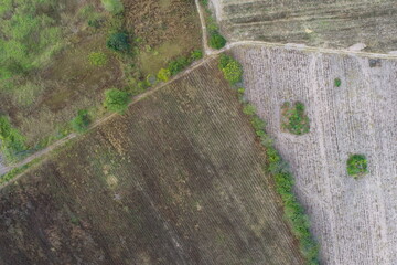 Aerial view of summer field grassland