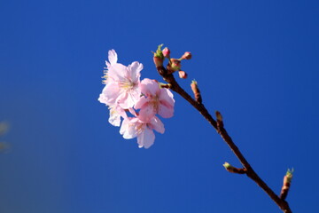 It&rsquo;s getting warmer