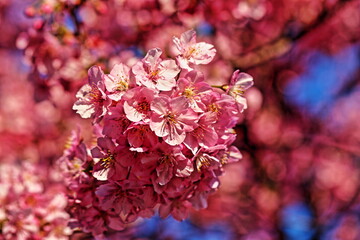 It’s getting warmer