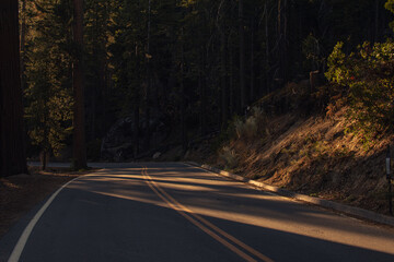 Autumnal natural landscape from Yosemite National Park, California, United States