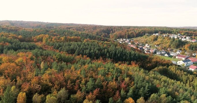 Estate of detached houses surrounded by beautiful autumn forest in central europe