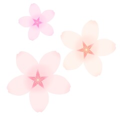 Clip art of three-color cherry blossoms