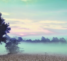 Atmospheric misty morning. An atmospheric misty sunrise over a meadow.