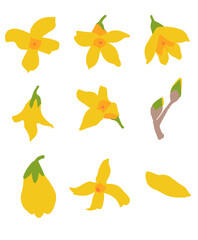 봄 개나리 꽃 아이콘 일러스트 벡터 소스 디자인