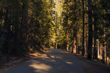 Obraz premium Autumnal natural landscape from Yosemite National Park, California, United States