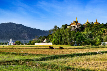 Tri Ton is beautiful in a spring morning...