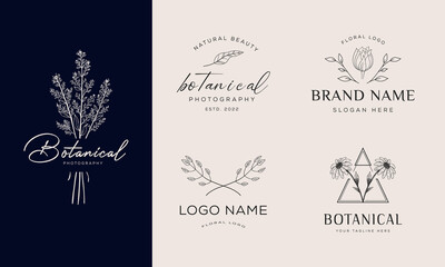 Botanical Floral element Hand Drawn Logo with Wild Flower and Leaves. Logo for spa and beauty salon, boutique, organic shop, wedding, floral designer, interior, photography, cosmetic.