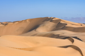 Fototapeta na wymiar Namibia, the Namib desert, graphic landscape of yellow dunes 