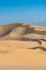Fototapeta na wymiar Namibia, the Namib desert, graphic landscape of yellow dunes 
