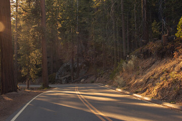 Fototapeta premium Autumnal natural landscape from Yosemite National Park, California, United States