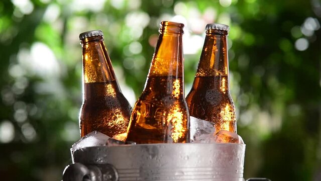 Beer Bottle Chilled In Ice Cooler Bucket