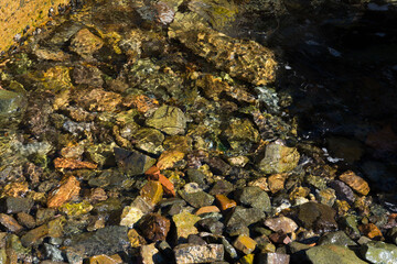 texture transparent clear waters of the sea lake