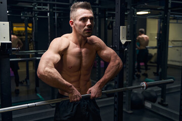 Fototapeta na wymiar Strong brunette sportsman doing physical training in the gym