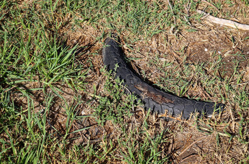 car tyre embedded in the grass