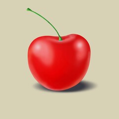 Red cherry isolated is placed on a creamy background vector art. light shining from above, with shadows beneath the fruit. Design for ornaments print,wallpaper,clothing,wrapping, fabric,textile,tatoo