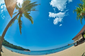 Fish eye angle palm tree in sunny blue sky landscape view of beach resort area on white sand in Philippines