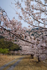 Fototapeta premium Sea&mountain