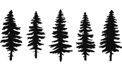 Set of vector christmas tree silhouettes, traced outline, detailed silhouette of fir trees