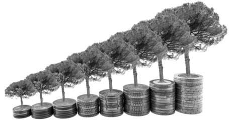 Croissance d’arbres sur pile de pièces, concept investissement productif  - obrazy, fototapety, plakaty
