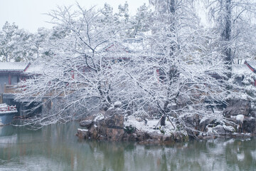 Winter Snow Scenery in Cherry Blossom Garden in East Lake Scenic Area, Wuhan, Hubei