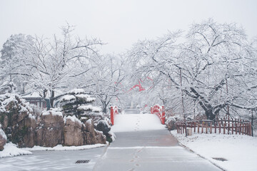 Winter Snow Scenery in Cherry Blossom Garden in East Lake Scenic Area, Wuhan, Hubei