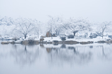 Winter Snow Scenery in Cherry Blossom Garden in East Lake Scenic Area, Wuhan, Hubei