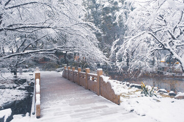 Winter Snow Scenery in Cherry Blossom Garden in East Lake Scenic Area, Wuhan, Hubei
