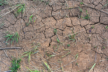 Dry mud cracked ground texture. Drought season background. Dry and cracked land, dry due to lack of rain. Effects of climate change.