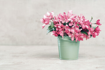 Pink spring flowers in a tiny olive bucket. Pastel gray beige cozy setup with copy space. Blooming fruit tree branch. Greeting card