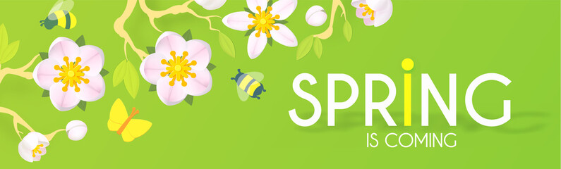 Spring is comming. Cute flower design with apple tree blossom, butterflies and bees