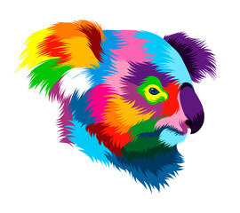 Abstract koala head portrait from multicolored paints. Colored drawing. Vector illustration of paints © Liliia