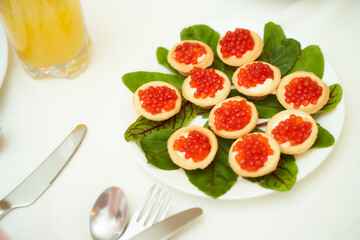 Red salmon caviar with tartlets with greenery on a light background