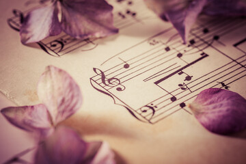 Music sheet with dried flowers in vintage style