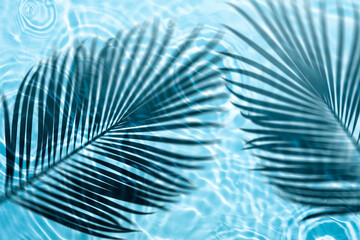 Soft focus lite blue cosmetic moisturizer floral water, micellar toner, or emulsion abstract palm shadow background. Reflections of  scattered sun texture.