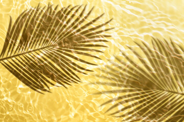 Soft focus lite mango yellow cosmetic moisturizer floral water, micellar toner, or emulsion abstract palm shadow background. Reflections of  scattered sun texture.