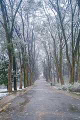 Winter snow scene in Moshan Scenic Area, East Lake, Wuhan, Hubei