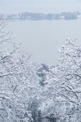 Winter snow scene in Moshan Scenic Area, East Lake, Wuhan, Hubei