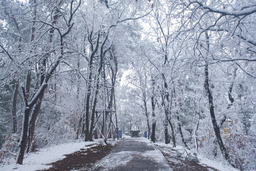 Winter snow scene in Moshan Scenic Area, East Lake, Wuhan, Hubei