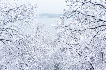 Winter snow scene in Moshan Scenic Area, East Lake, Wuhan, Hubei